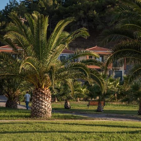 Alma Hotel Petra  Dış mekan fotoğraf