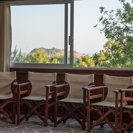 Alma Hotel Petra  Dış mekan fotoğraf