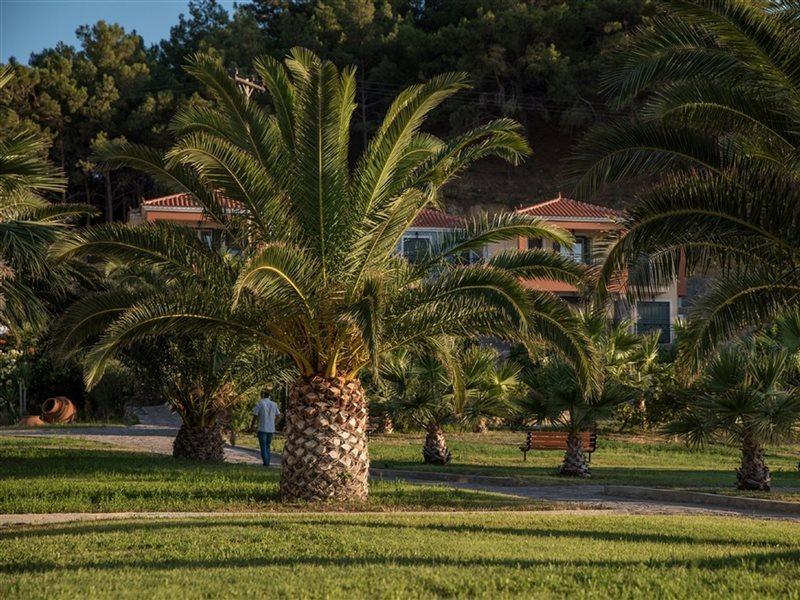 Alma Hotel Petra  Dış mekan fotoğraf