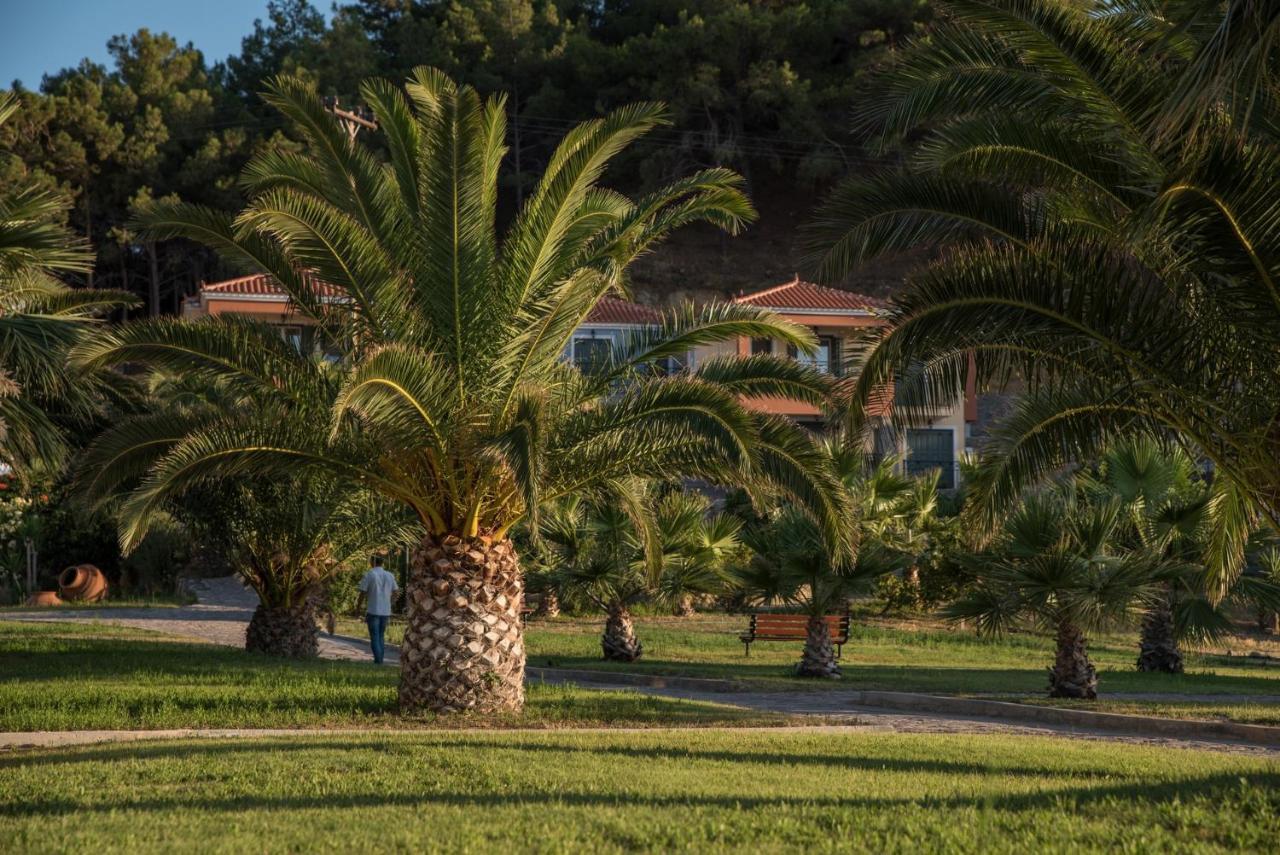 Alma Hotel Petra  Dış mekan fotoğraf