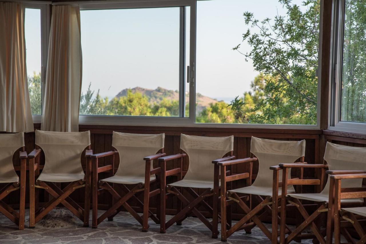 Alma Hotel Petra  Dış mekan fotoğraf