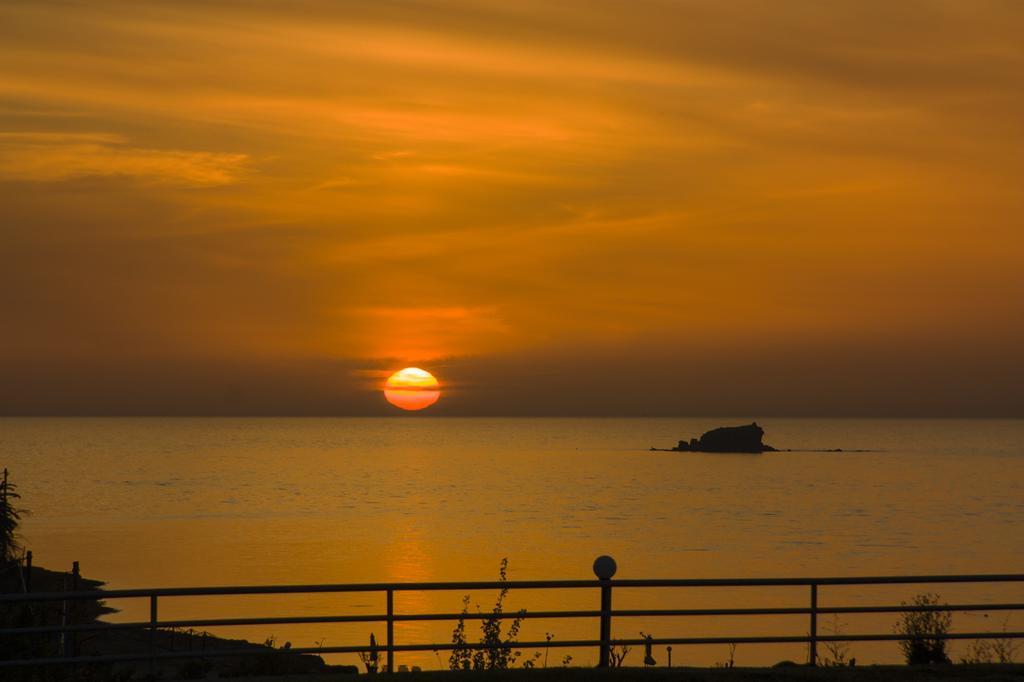 Alma Hotel Petra  Dış mekan fotoğraf