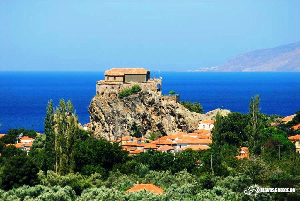 Alma Hotel Petra  Dış mekan fotoğraf