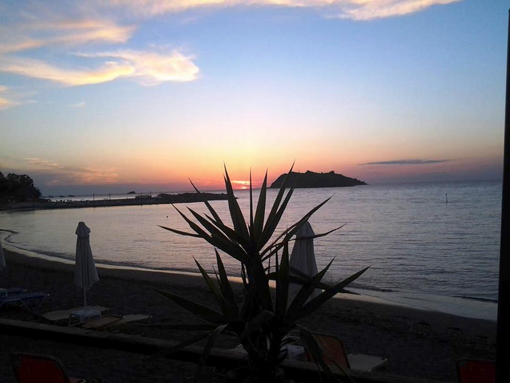 Alma Hotel Petra  Dış mekan fotoğraf
