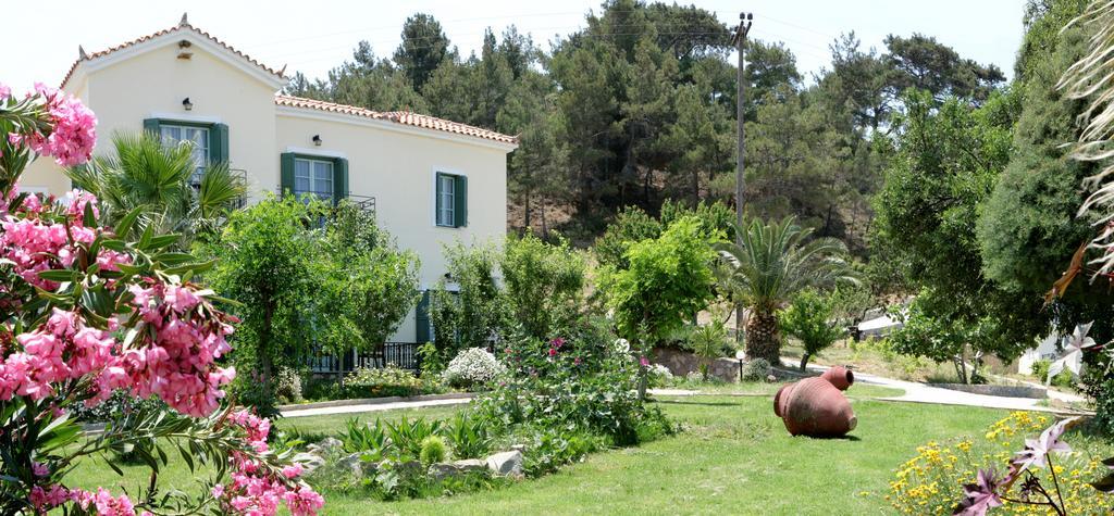 Alma Hotel Petra  Dış mekan fotoğraf
