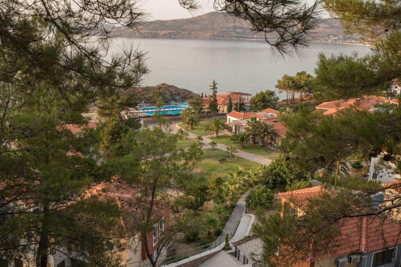 Alma Hotel Petra  Dış mekan fotoğraf